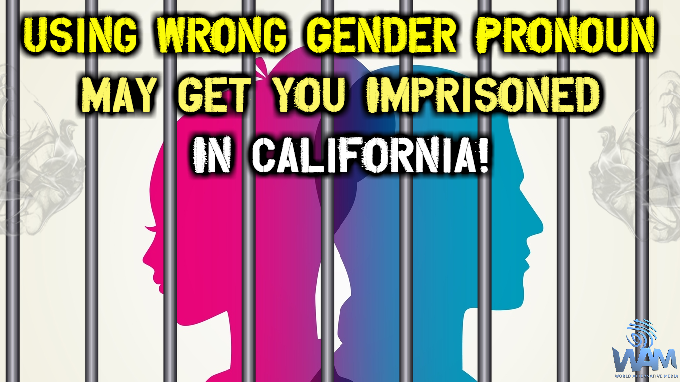using-the-wrong-gender-pronoun-may-get-you-imprisoned-in-california-steemit